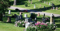 Vassar Rawls Funeral Home